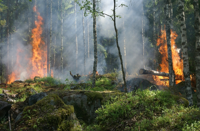 A lot of smoke around it Description automatically generated