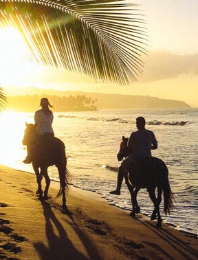 horseback-riding catalina1