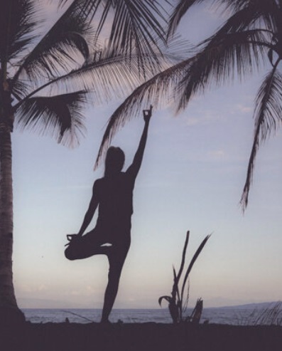 yoga catalina