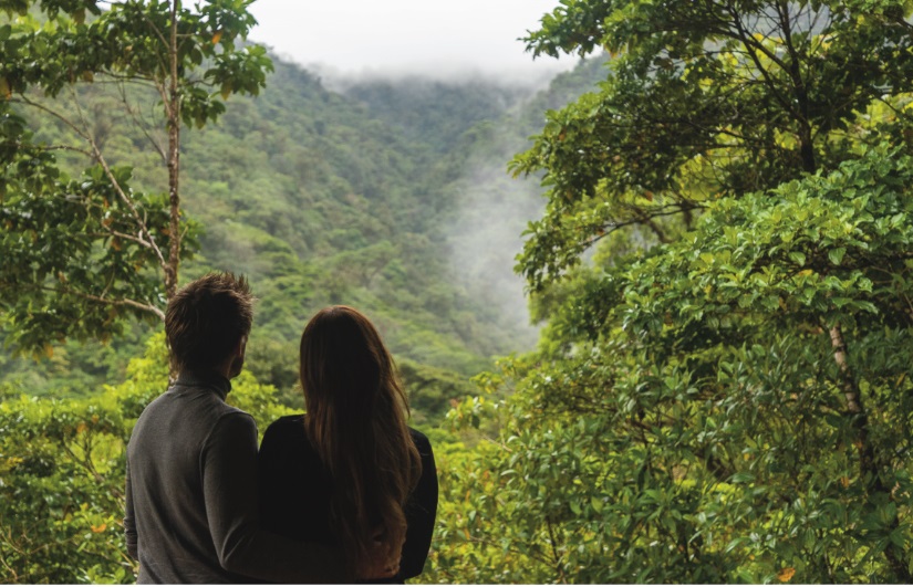 hiking trails