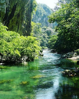 rio miel ws