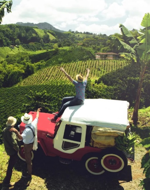 coffee tours