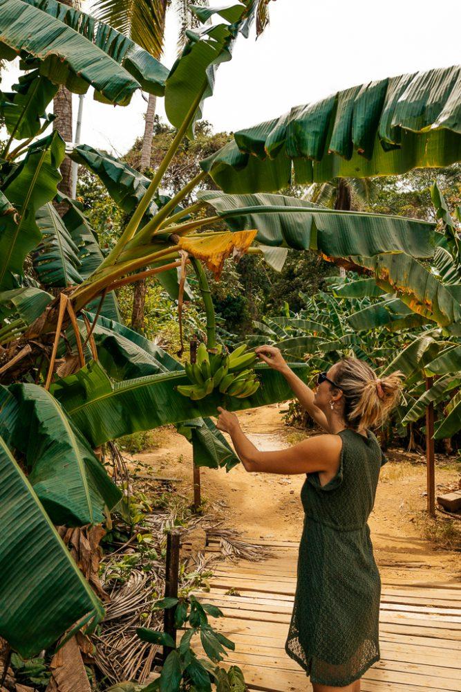 girl with banana tree